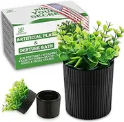 Denture Bath, Invisible Denture Case Designed As Artificial Eucalyptus Potted Plants, Denture Cup With Strainer For Retainer, Mouth Guard & Dentures, Perfect For Home Decoration…