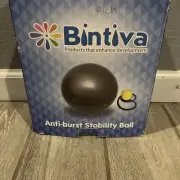 Bintiva Anti burst Fitness Exercise Stability Yoga Ball With Pump
