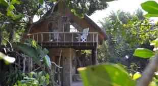 Driftwood Treehouse