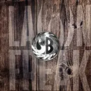 Scott Bonnar Model 45 Clutch Handle Knob | Silver & Black | Vintage Mower Decals