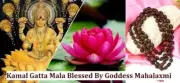 100% Original Goddess Laxmi Lotus Seed Kamal Gatta Japa Mala 108 Beads Diwali