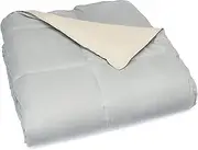 Modern Threads Down Alternative Microfiber Quilted Reversible Comforter & Duvet Insert - Soft, Comfortable Alternative to Goose Down - Bedding for All Seasons Seafoam/Almond Twin