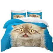 Cute Frightened Kitten Cat Quilt Cover