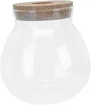 VERDANVERSE Decorative Micro Landscaping Container Transparent Glass Bottle for Gardens Succulents and Moss Decor with Sturdy Base Present for Friends