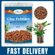 Riare 2LB Organic Expanded Clay Pebbles 4–16mm Natural LECA Balls for Plants