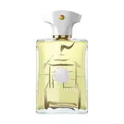 Amouage Beach Hut Amouage Men's Perfume 100ml