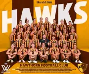2024 HAWTHORN HAWKS AFLW FOOTBALL TEAM POSTER,BARGAIN,1