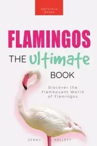 在飛比找博客來優惠-Flamingos: Discover the Flambo
