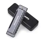Blues Harmonic Mouth Organ 10 Hole C Key Beginner Harmonica with Case Diatoni...