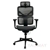 在飛比找Yahoo!奇摩拍賣優惠-【耀偉】人體工學椅F12黑網灰網 尼龍腳/泡棉