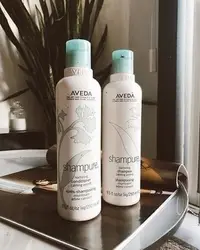 在飛比找Yahoo!奇摩拍賣優惠-現貨 正品 【AVEDA純香洗髮菁/潤髮乳250ml】