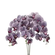 3Pcs 41" 9 Heads Artificial Orchid Stems Faux Phalaenopsis, Grey Purple