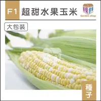 在飛比找蝦皮購物優惠-F1超甜水果玉米種子(大包裝)-雙色水果玉米，多汁香甜適合鮮