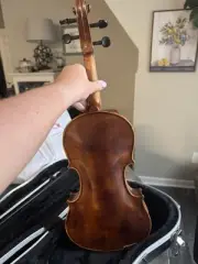 Stentor 1400 Student I Series Violin Outfit 1/2 197881179304 RF