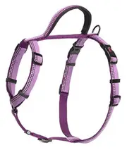 The Company of Animals HALTI Walking Harness, Purple, X-Small