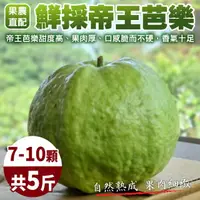 在飛比找momo購物網優惠-【農民直配】台灣嚴選帝王芭樂(5斤/箱)