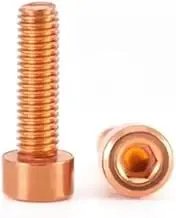 2pcs-10pcs DIN912 M2 M2.5 M3 M4 M5 M6 T2 Copper Hex Hexagon Socket Allen Cap Head Machine Screw(4mm(L),M2 10pcs)