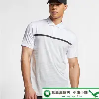 在飛比找Yahoo!奇摩拍賣優惠-[小鷹小舖] [老虎伍茲聯名款] NIKE Golf Dri