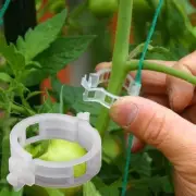 100* Plastic Plant/Vine Clips Tomato/Plant Support Clips For Trellis ​Convenient