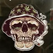 1 X Rasta Skull Sticker Bike Car Ute Decal Popular Ebay Sticker