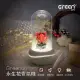【Greenon】永生花香氛機-紅玫瑰
