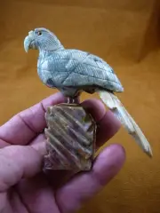 (Y-BIR-PAR-407) gray green Island PARROT Macaw bird gemstone STONE carving Peru