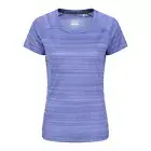 Mountain Warehouse Womens/Ladies Endurance Striped T-Shirt (MW1460)