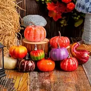 10pcs Artificial Mini Foam Pumpkins Fall Decorations, Harvest Pumpkin Figurines for Halloween Thanksgiving, Faux Vegetable Props for Table Centerpiece, Photo S