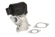 EGR GAS RECIRCULATION VALVE WA710926D WAHLER I