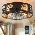 20in Caged Ceiling Fan with Light,Bladeless Black Fandelier Ceiling Fan with Rem