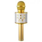 Wireless Karaoke Microphone without Lighting