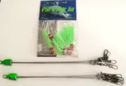 Pap's Umbrella Rig (5 pronged) Qty 2 and Pap's Hair Jig red-white/chart(Qty 5)