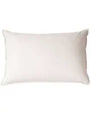 Allied Home Living Prime Feather Unbleached Cotton Pillow