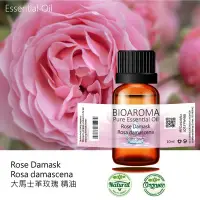 在飛比找Yahoo!奇摩拍賣優惠-【芳香療網】Rose Bulgarian - Rosa da