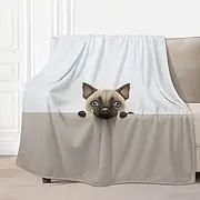 AuHomea Cute Cat Throw Blanket Lightweight Flannel Fleece Blankets Warm and Cozy Super Soft Throws 30"x40" for Cat Pet and