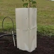 Tree Guards - Corn starch sleeve - Biodegradable