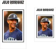 Julio Rodriguez Custom Designed Laminated Box Dividers Set of 2 Graded&Reg Size