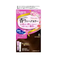 在飛比找比比昂日本好物商城優惠-美源 Bigen 花果香 快速染髮劑 6 暗棕色 40g+4