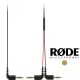 【RODE】SC11 3.5mm 一對二 TRS 音源線(公司貨 Y型分軌線 分路器電纜 RDSC11)