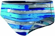 [Speedo] Men's Color Stroke Endurance Brie