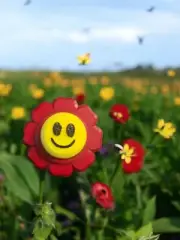 3d print, clicker, flower, garden, smiley faces, gift, tactile, sensory