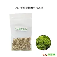 在飛比找蝦皮購物優惠-A32.菊苣(苦苣)種子1000顆(日本進口苦苣，斯尼、皺葉