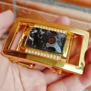 SERICHO pallasite Meteorite Belt buckle from Kenya