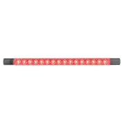 LED Autolamps Rear Indicator Light Clear Lens 12V 16 LED Lamp Bulk