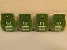 NIP Scentsy Wax Bars Lot of 4 Fiddle Leaf Fig