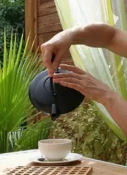 Tea - Ginseng Oolong Loose Leaf Tea