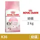 【法國皇家 Royal Canin】(K36) 幼貓 2公斤 (貓飼料)