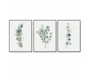 Posters & Prints Artime Wall 50Cmx70cm Eucalyptus Plant 3 Sets Black Frame Canvas