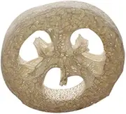 150Pcs Natural Loofah Luffa Loofa Slices Handmade Loofah Soap Box Sponge Facial Soap Holder