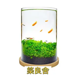開立發票 魚缸 玻璃魚缸 辦公室魚缸 烏龜缸 水族用品生態瓶水草缸魚缸玻璃微景缸辦公桌面創意造景觀魚缸真水草種子